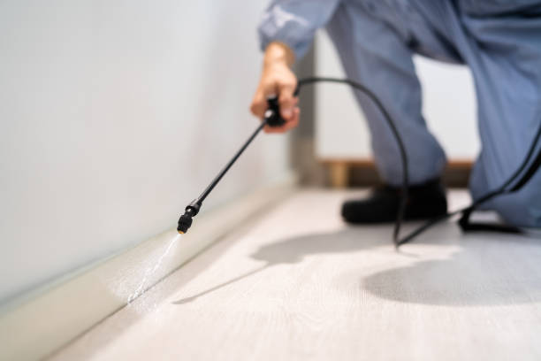Licensed Cockroach Control service in Meridian, TX - Nex Pest Control