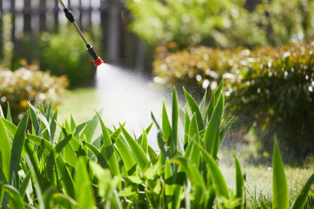 24/7 Emergency Cockroach Control experts in Meridian, TX