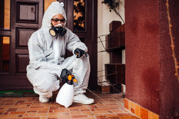 Reliable Cockroach Control contractor in Meridian, TX by Nex Pest Control